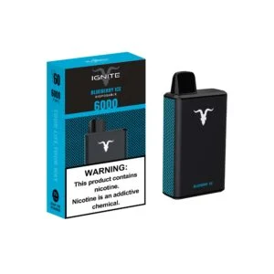 Ignite V60 6,000 Puffs - Blueberry Ice