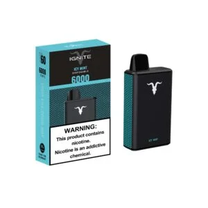 Ignite V60 6,000 Puffs - Icy Mint