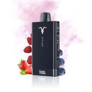 Ignite 15.000 Puffs - Berry Blast