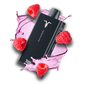Ignite 15.000 Puffs - Raspberry Watermelon