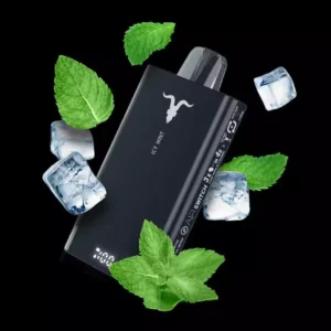 Ignite 15.000 Puffs - Ice Mint